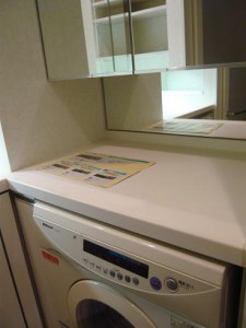 ﾍﾞﾙｳﾞｨﾗｰｼﾞｭ・ﾄﾞﾒｲﾝ参宮橋　洗濯乾燥機