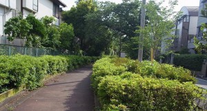 藤和祐天寺ホームズ　緑道