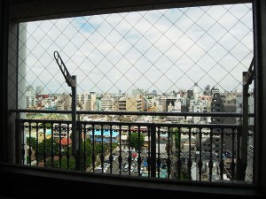 東新宿レジデンシャルタワー　眺望