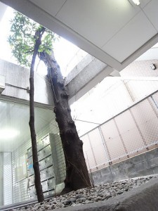 sr0048325