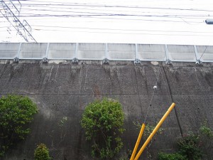 クレードル二子玉川園 田園都市線 sr0025124