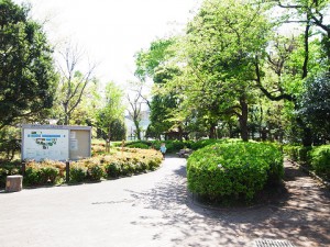 sr0275542