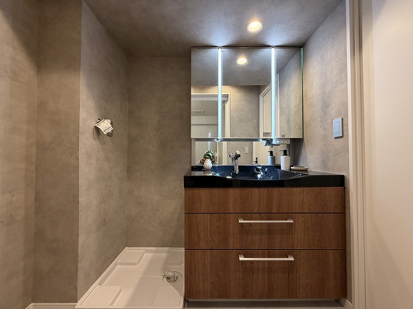 旗の台フラット_洗面化粧台の写真