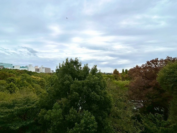 井の頭第2パークサイドマンション_眺望の写真