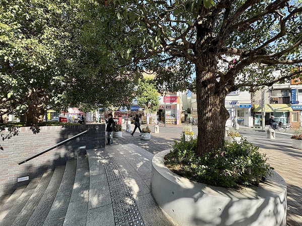 駅周辺の並木道