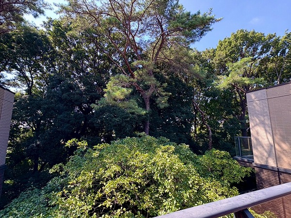 パークシティ浜田山_自然豊かな景色の写真