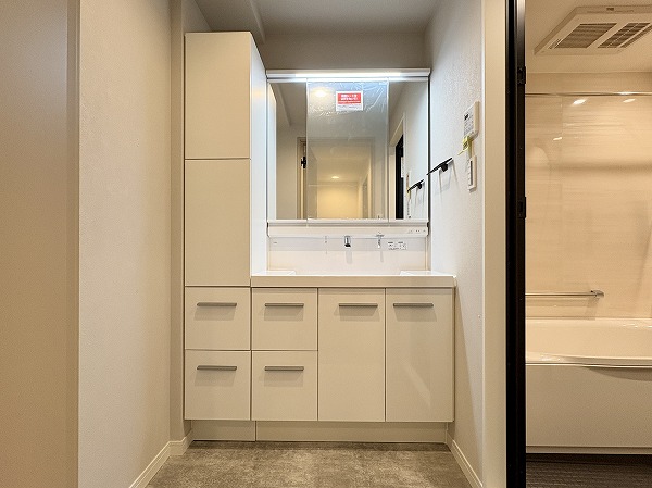 芦花公園プレスティージュ_ミラーキャビネットの写真