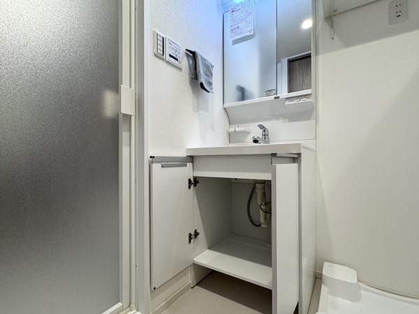 朝日中目黒マンション_洗面収納の写真 