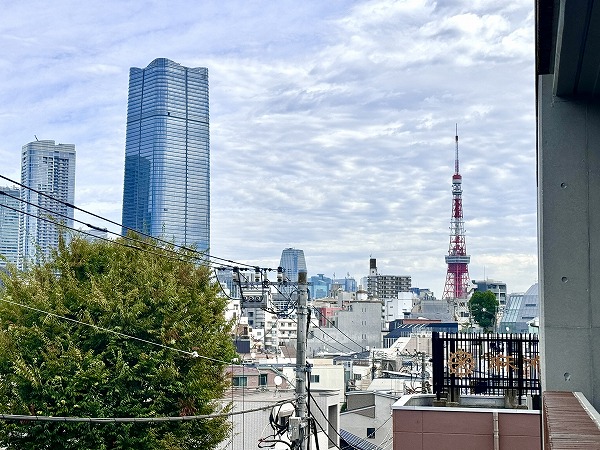 ザ・パークハウス元麻布_眺望の写真4