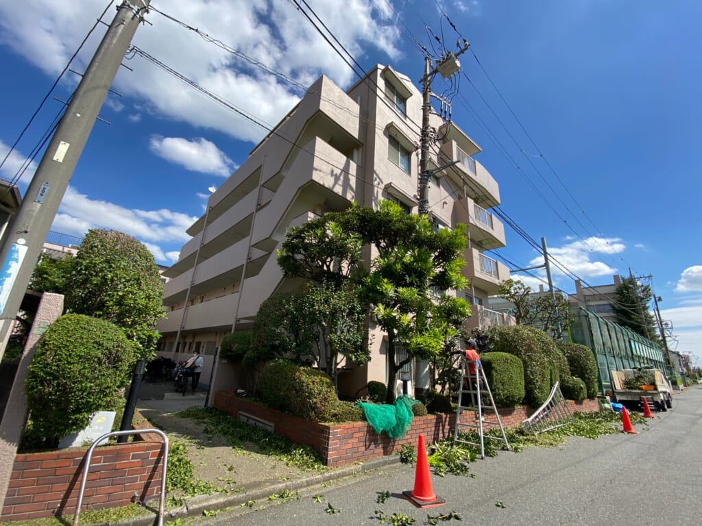 ハイネス尾山台