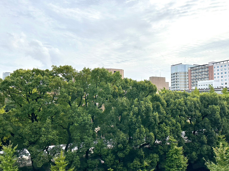 眺望　赤門ロイヤルハイツ 東にあるバルコニーはコンパクトな造りでした。バルコニーからは東京大学の敷地内にある緑を望むことができますよ。晴れた日に心地よい陽射しを浴びて青々とした自然を眺めれば、いい気分転換になりそうですね。