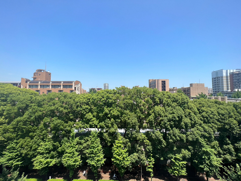 赤門ロイヤルハイツ　バルコニー　眺望 バルコニーからは東京大学の自然豊かな緑が望めます❀8階部分に位置するので、お部屋の中からでも十分緑が眺められますよ。目に潤いを与えてくれる緑はリフレッシュ効果があるので、バルコニーへ出て日々の疲れを癒してくださいね。