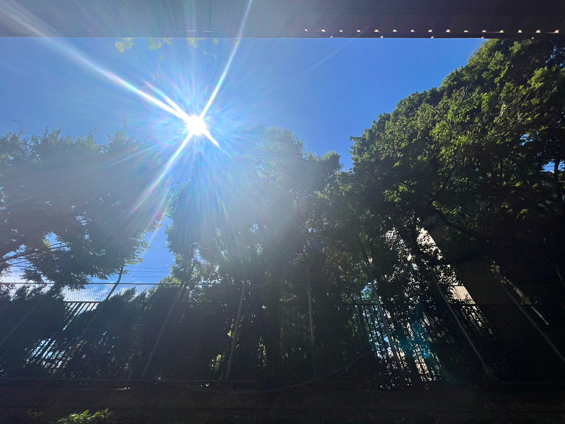 クレール駒込　バルコニー　眺望　空 バルコニーの目の前には高台にある「神明北公園」があります。目線の高さに人が通ることがないのでプライベート感の高い印象。南向きのため、太陽の光が存分に射し込み温かく、さらに公園の自然豊かな緑が癒しを与えてくれますよ🍃