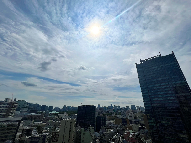 プラウドタワー千代田富士見　バルコニー　眺望　空 