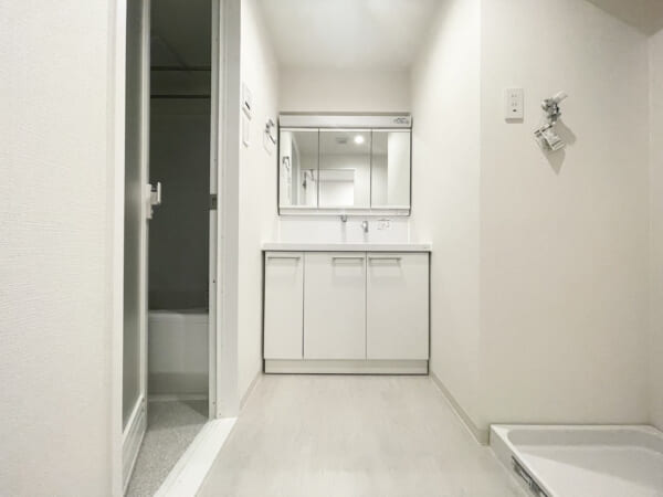 ライオンズヒルズ和光_サニタリールームの写真