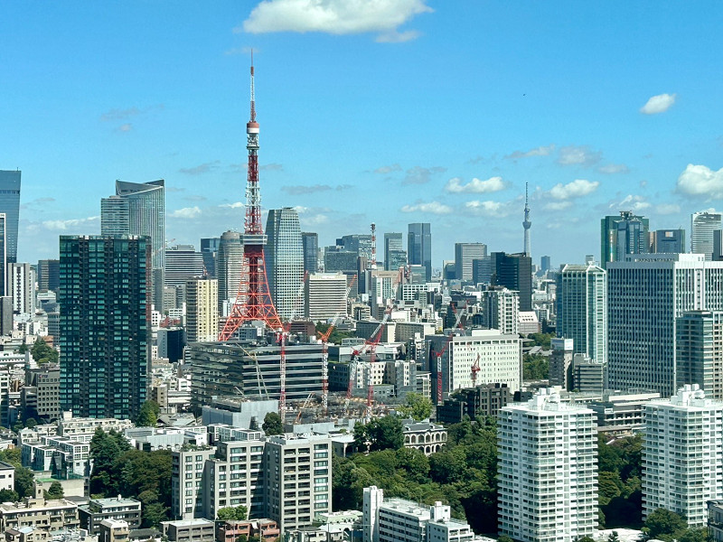 白金ザ・スカイ　眺望A リビングダイニングキッチンからは、言葉通り東京の街を一望できます。なんと、東京のシンボル「東京タワー」と「東京スカイツリー」を一度に楽しめるんです♡西側には新宿都庁の姿もあり、何とも贅沢な眺めでした✨夜には素敵な夜景が広がりますよ。時間を忘れてうっとり眺めてしまいそう…♩