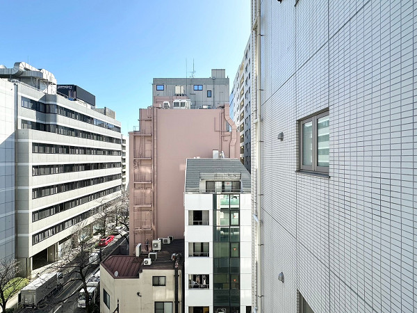 グリーンパーク東京ボーベル　洋室B　窓　景色
