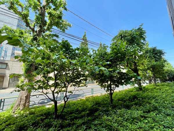 ガーデンホーム笹塚　景観1