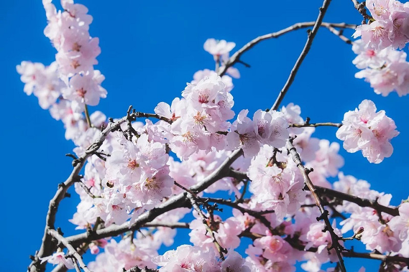 藤和シティコープ芦花公園