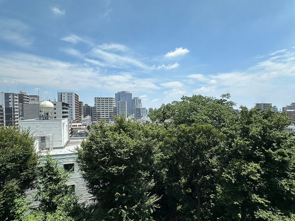 徳川マンション　景色