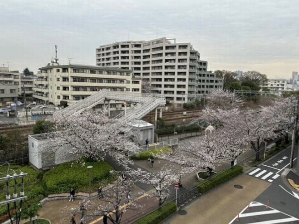 サンハイツ大森（南大井6丁目）　眺望 5階の角部屋という好条件につき見晴らしが良く、開放感溢れる眺望をお楽しみいただけます。高いビルがなく視界が開けているので、陽当たりも良好◎都会の喧騒を忘れられる、自然豊かな景色が広がっています。桜並木のある桜新道が目の前にあるため、春は満開の桜を堪能できます。とっても贅沢ですよね！