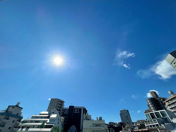 オープンレジデンシア四谷荒木町 ペット可