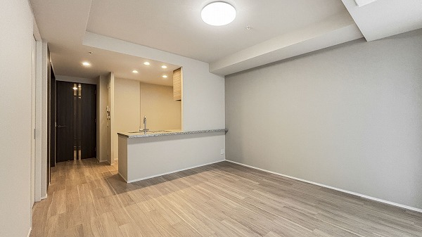 ザ・パークハウス西新宿タワー60_LDの写真