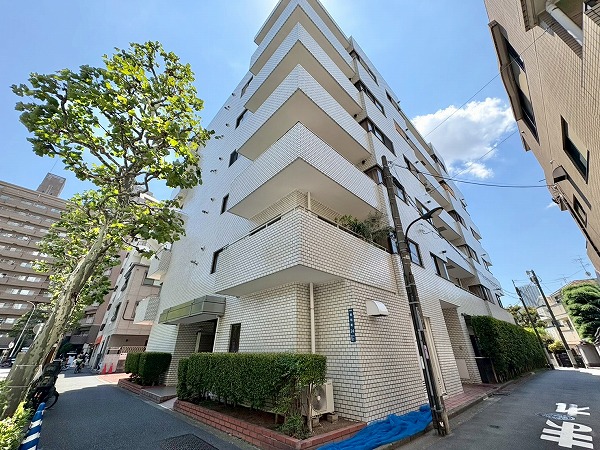 ルミナール若松町
