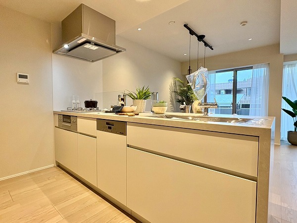 代々木デュープレックス_システムキッチンの写真