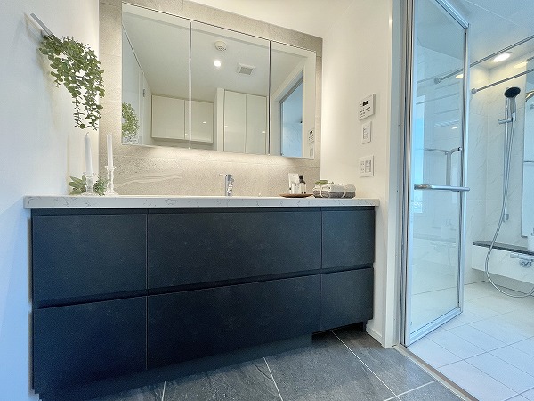 THE ROPPONGI TOKYO CLUB RESIDENCE_洗面台が備わったサニタリールーム