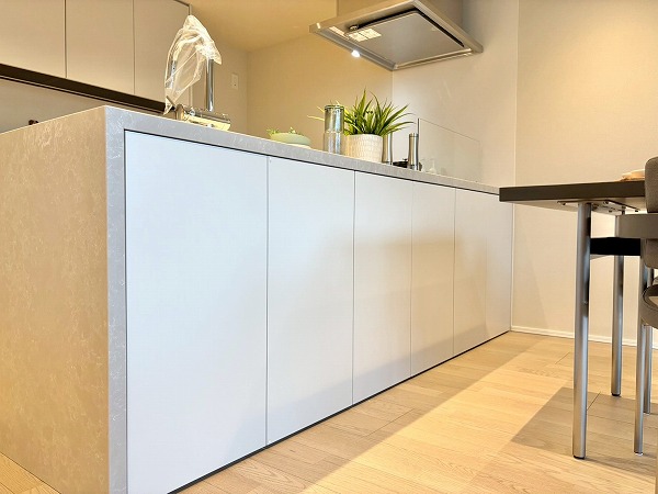 代々木デュープレックス_収納スペースの写真