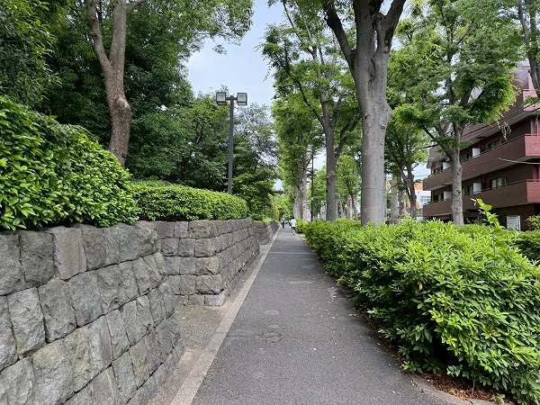 ザ・パークハウスグラン南青山高樹町までの道のり