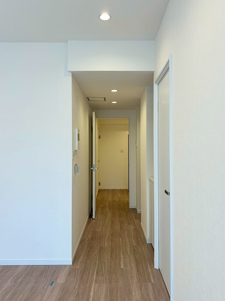 パレステュディオ新宿御苑_LDK出入口付近の写真2