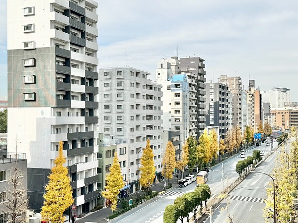 シルバープラザ白山_眺望の写真