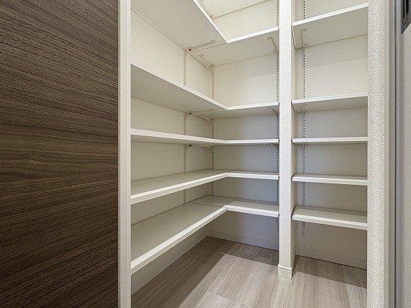 天王洲デュープレックス_シューズインクローゼット内部の写真