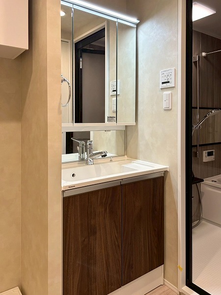 エスカイア高田馬場_使いやすそうな洗面化粧台の写真