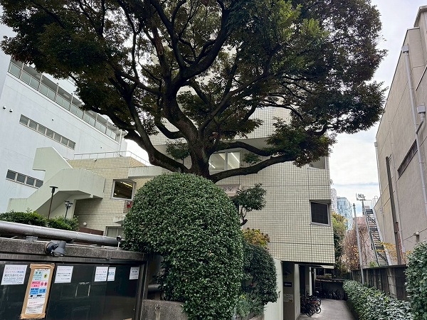 グランドメゾン戸山　外観2