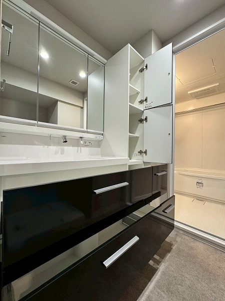 多摩川ハイム2号棟_サニタリールームの写真3 