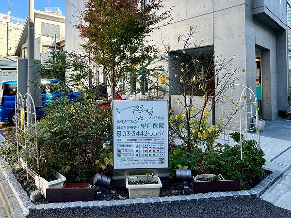 白金耳鼻咽喉科 望月医院