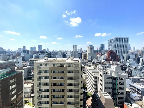 芝パークタワー_バルコニーからの眺望の写真1 