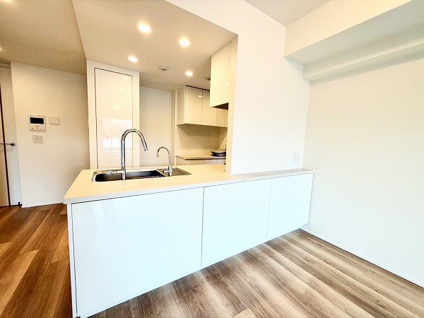 ジオ南青山_リノベーション済みのキッチンの写真