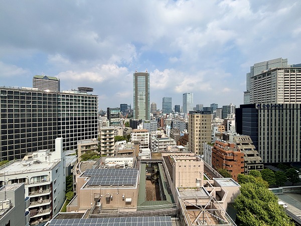 パークハウス赤坂氷川_バルコニーからの眺望の写真