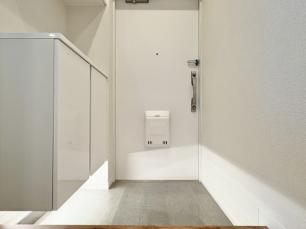 ドミール烏山_綺麗な玄関の写真