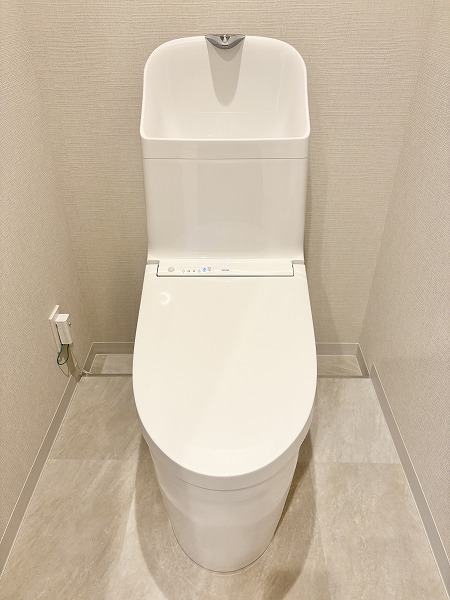 ドミール烏山_手洗い一体型トイレの写真