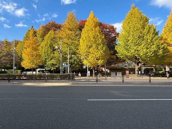 池田山第一マンションズ周辺の自然