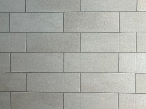 エスカイア高田馬場_アクセントクロスの写真