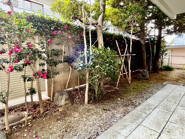 イースタンホームズ若林_広々とした専用庭の写真