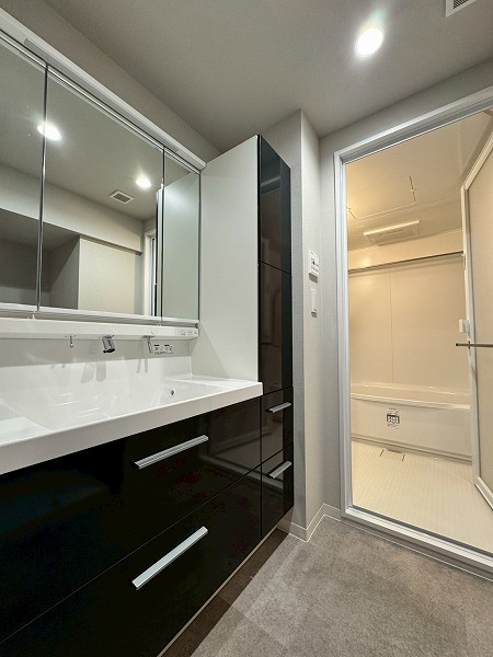 多摩川ハイム2号棟_サニタリールームの写真2 