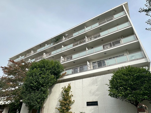 碑文谷マンション　外観　下から