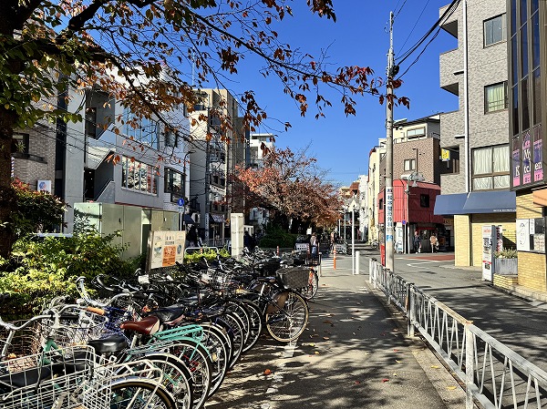 ドルフ都立大近くの道